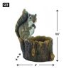 Squirrel Tree Trunk Bird Feeder